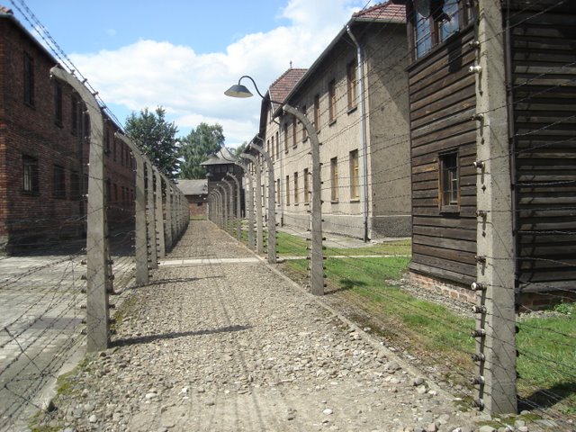 Oswiečim-Birkenau1